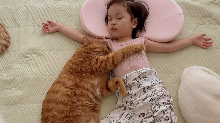 Các Bé Mèo Ngủ Cùng Em Bé, Chú Mèo Cam Chỉ Muốn Ôm Cô Chủ Vào Lòng