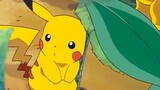 Pikachu dan para imut sedang bermain petak umpet, kalian semua tumbuh dengan makan yang lucu~