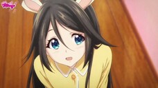 Kelinci Imut Super Langka 🙃