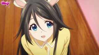 Kelinci Imut Super Langka 🙃