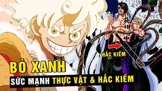 Sức mạnh bí ẩn của Đô Đốc Bò Xanh : Trái Ác Quỷ Thực Vật , Hắc kiếm và Haki [ One Piece 1053+ ]