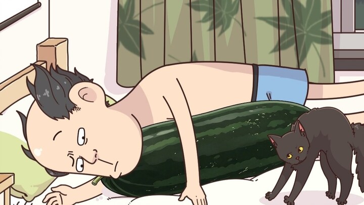 Mèo hợp với bí đao, người vừa bế là nổ tung luôn