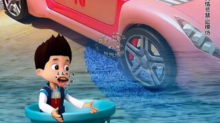 谁来拯救就汪汪队阿奇。