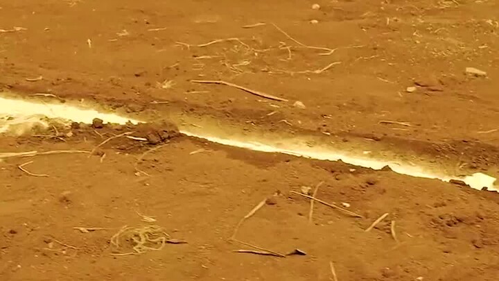 Kalau kamu punya toples seperti ini, apa yang paling ingin kamu masukkan ke dalamnya?