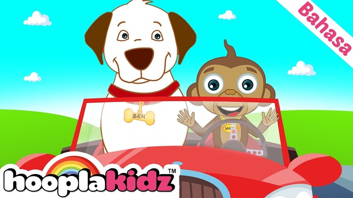 Lagu Kendaraan | Lagu Anak Belajar | Lagu Anak Anak | HooplaKidz Bahasa Indonesia