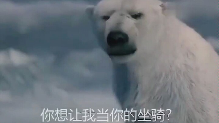 当年熊猫也是这样问蚩尤的