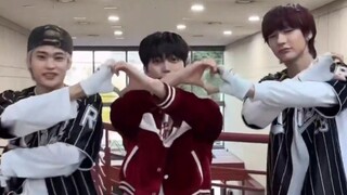 RIIZE sohee anton x ONF 'LOVE EFFECT'Challenge