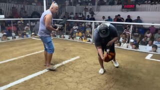 2hits pila col.1st fyt win