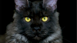 We have a new family member!