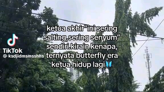 "ketua"