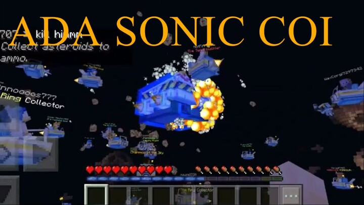 ADA SONIC COI DI MINECRAFT!!