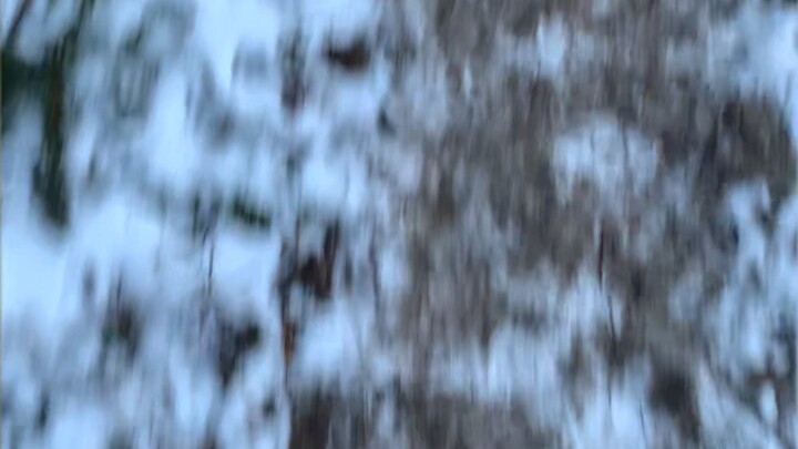 Dear advisor, I know full well that learning shouldn’t be confined to the classroom—no sooner do I o