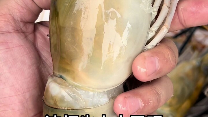 รักษาคำพูดนะ กุ้งยักษ์หมักสดที่คุณขอมาอยู่ที่นี่แล้ว