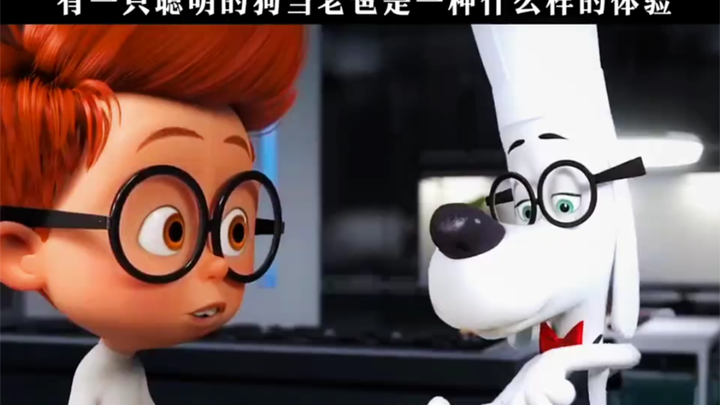 [天才眼镜狗]“有一只聪明的小狗当老爸是一种什么样的体验”