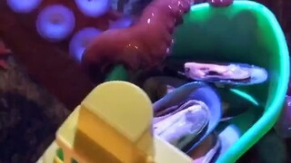 A horror film shot with an octopus