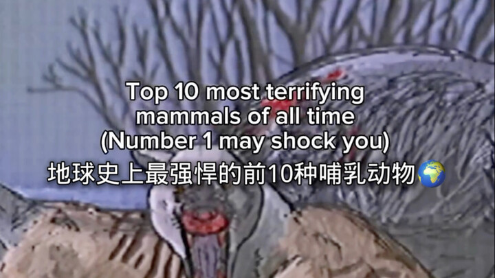 10 loài động vật có vú trên cạn mạnh nhất trong lịch sử Trái Đất