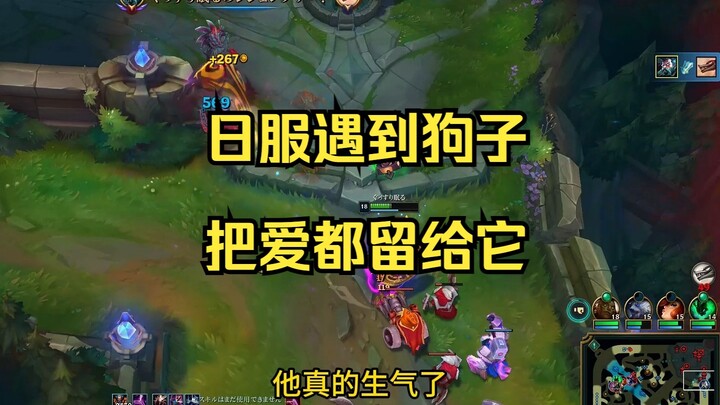 This time, the dog was seriously blown away—and by the end, it was so pissed off it saw red!