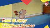 [Tom & Jerry] Tôi chưa bao giờ xem Tom & Jerry nào xuất sắc thế này_2