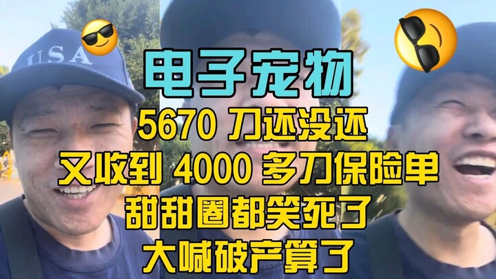 Hewan peliharaan elektronik Tangtangou, Wang Weiheng (36): 5.670 dolar belum juga dibayar, malah dap