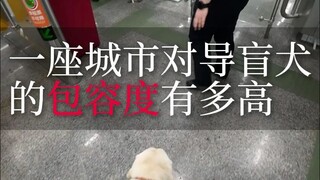How tolerant is a civilized city towards guide dogs and blind people?