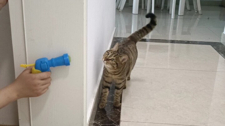 I’m about to blow it to smithereens, and it even hands me ammo!