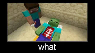 Minecraft wait what meme part 200 (scary zombie operation)