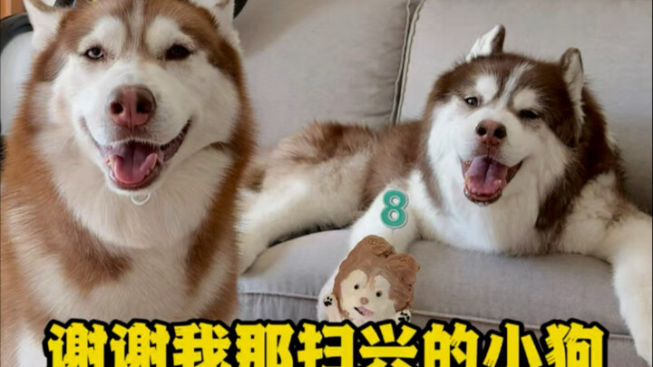 ขอบคุณเจ้าลูกหมาขี้เสียอารมณ์ของฉัน... ต่อให้ถอยหนึ่งหมื่นก้าว นี่มันจะต่างอะไรกับลูกแท้ๆ ของฉันล่ะ?