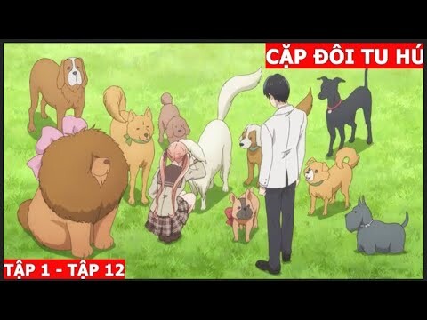 CẶP ĐÔI TU HÚ - Phần 1  ( Tập 1 - Tập 12 )  || Tóm tắt Anime ||