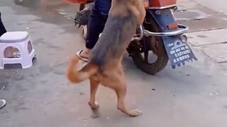 Today's ride on this car was so uncomfortable it made my thoughts jumble.