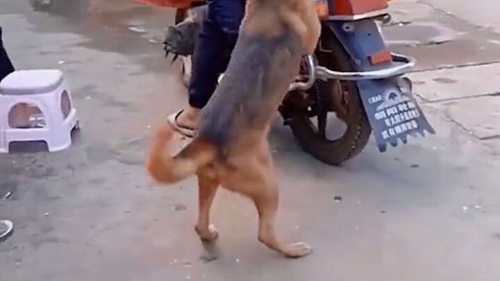 اليوم ركوب هذه السيارة لم يكن مريحاً على الإطلاق