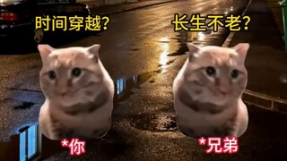 Khi bạn và anh em trai sở hữu những siêu năng lực khác nhau