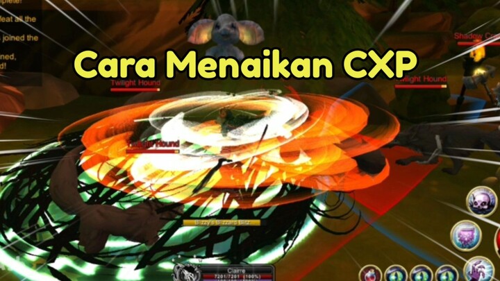 Cara Menaikan CXP | AQ3D Indonesia
