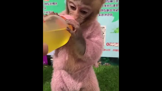 เป็นคนไม่ถือตัว ส่วนใหญ่ถือแต่แก้ว