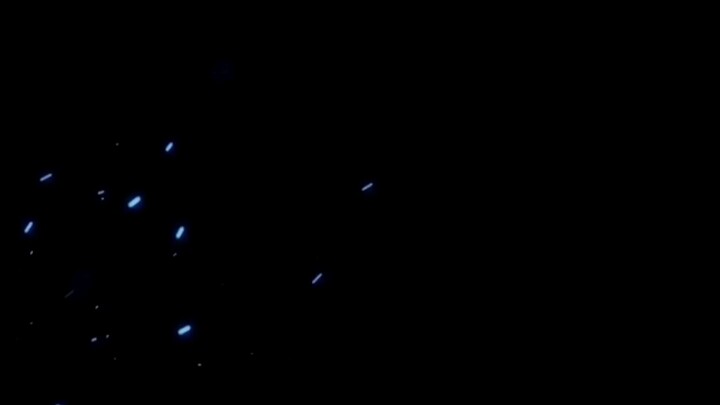 KRM-262 shotgun highlights