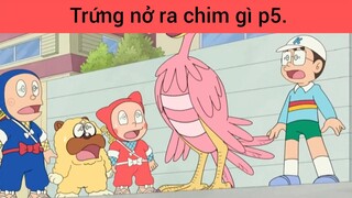Trứng nở ra chim gì p5