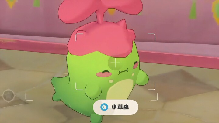[Rock Kingdom] Doesn’t anyone think this little chubby guy is super cute?
