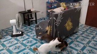 Our night before we sleep