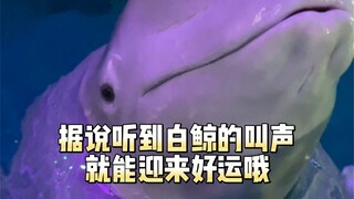 أيها الأصدقاء الذين وجدوا هذا الفيديو، بالتأكيد ستُصيبكم الكثير من الأمور الجيدة قريبًا 😊