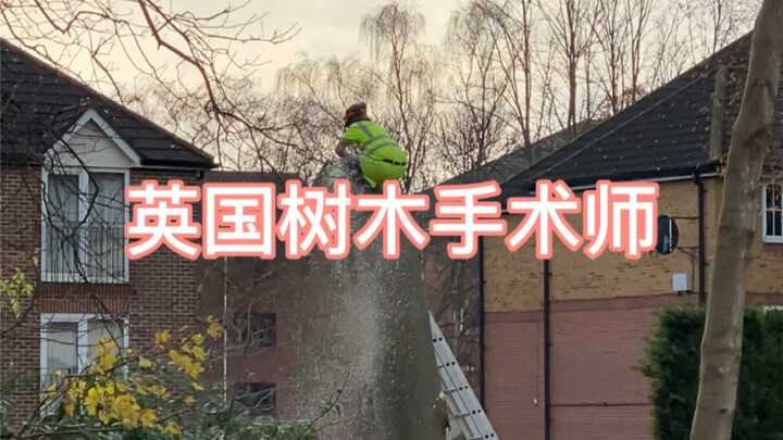 ศัลยแพทย์ต้นไม้แห่งสหราชอาณาจักร