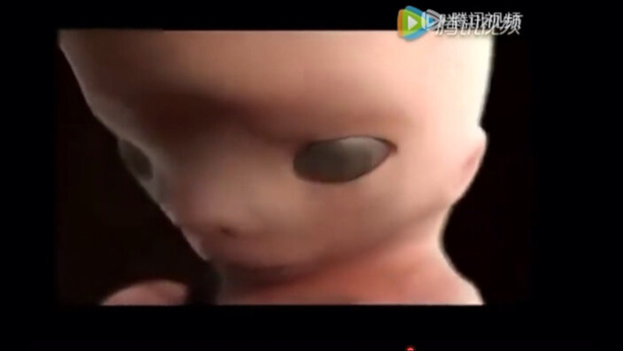 生物课上全班笑得像大奋