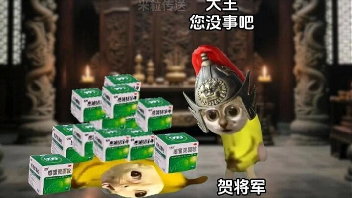 《米粒传送》1~5集