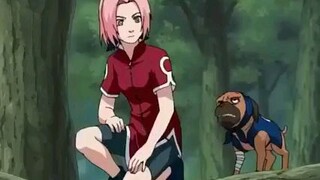 Kid naruto episode 74 tagalog dubbed