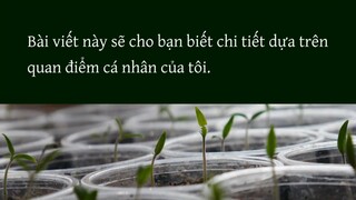 Một khoản đầu tư bạc có giá trị là gì?