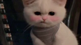 Looks like Li Yuanfang