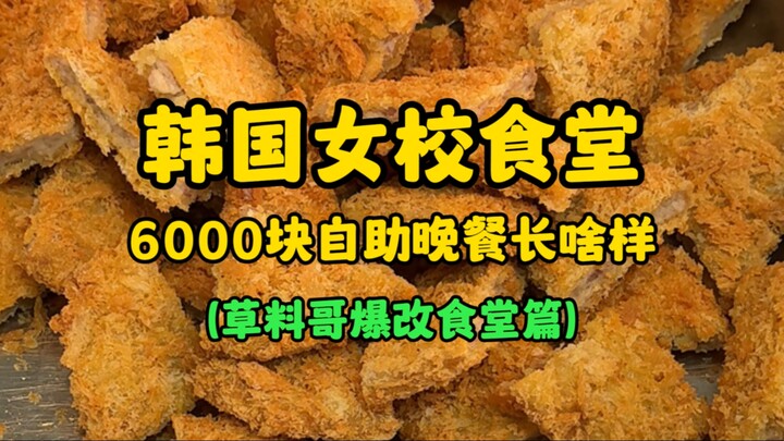 韩国女校食堂6000元自助午饭长啥样？（草料哥爆改食堂篇）