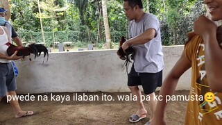 spar muna