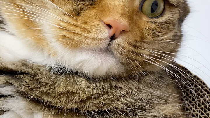 Vẫn chưa hiểu nổi rốt cuộc chúng ta là quan hệ gì…