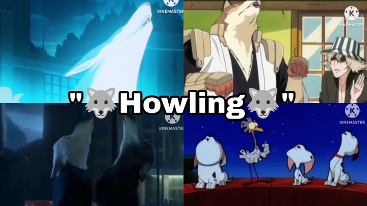 "🐺Howling 🐺" Compilation