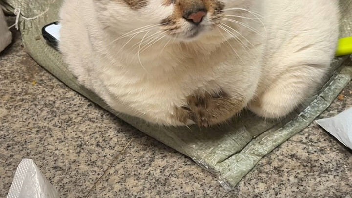 It made me search for ages!