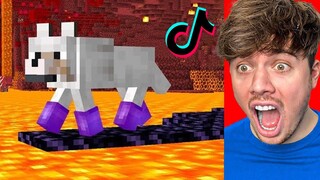 Ik Test GEHEIME LIFEHACKS Die WERKEN In MINECRAFT!